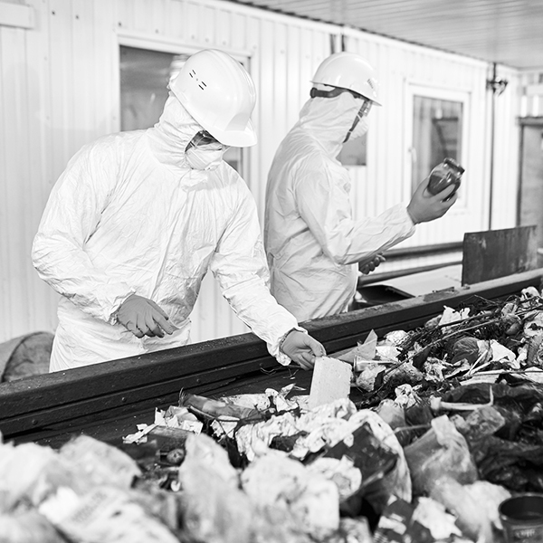 Sorting on Waste Recycling Plant